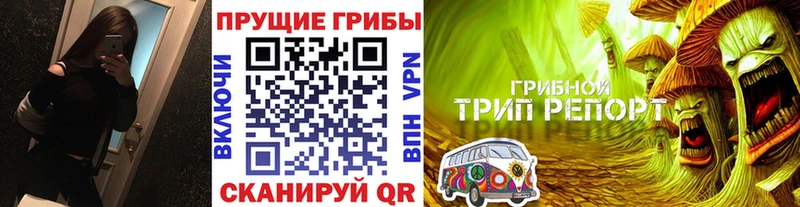 Галлюциногенные грибы Cubensis  Купить  Электрогорск 